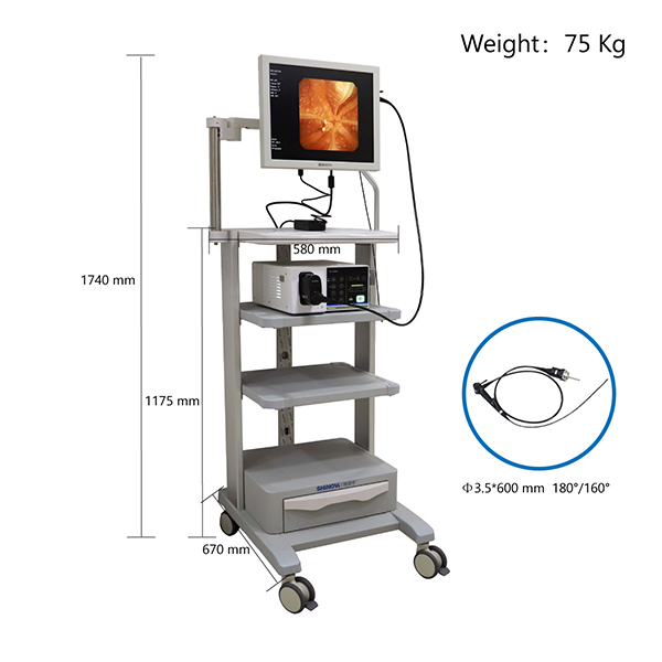 Gastroscope วิดีโอสัตวแพทย์ 