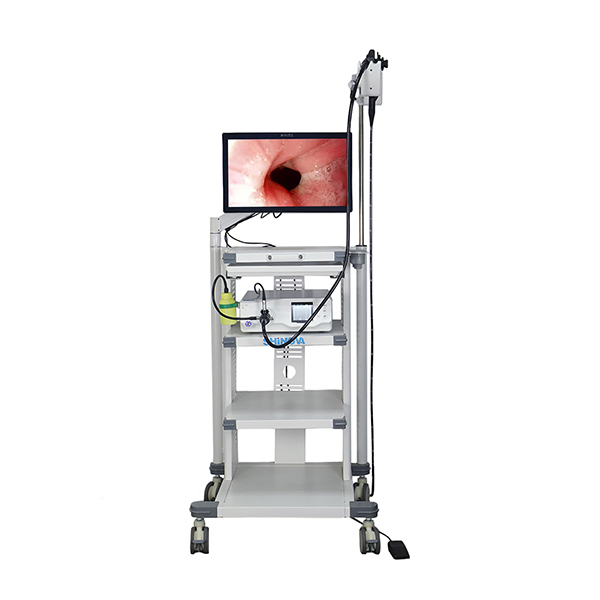 Gastroscope วิดีโอสัตวแพทย์ 