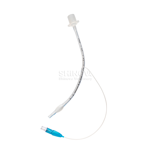 หลอด endotracheal ที่มี cuff/ไม่มี cuff