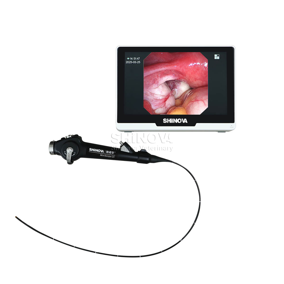 Endoscope สัตวแพทย์แบบพกพา (2.8 มม.)