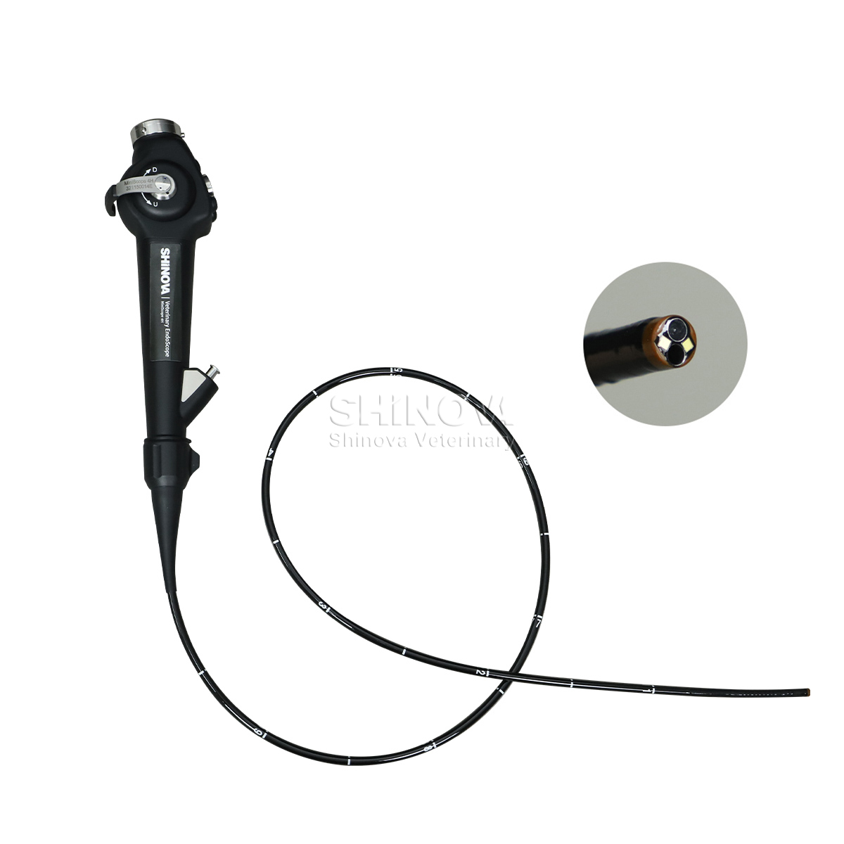 Endoscope สัตวแพทย์แบบพกพา (4.8 มม.)