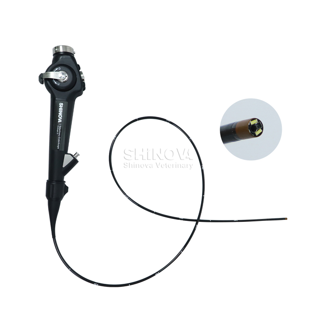 Endoscope สัตวแพทย์แบบพกพา (3.8 มม.)