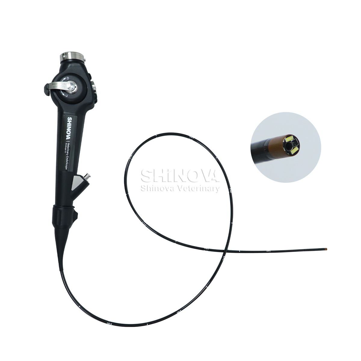 Endoscope สัตวแพทย์แบบพกพา (3.8 มม.)