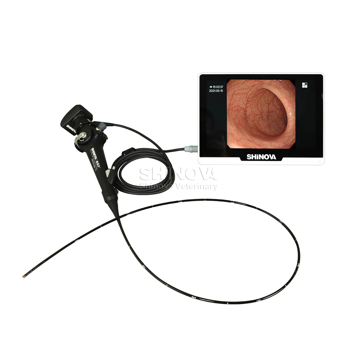 Endoscope สัตวแพทย์แบบพกพา (2.8 มม.)