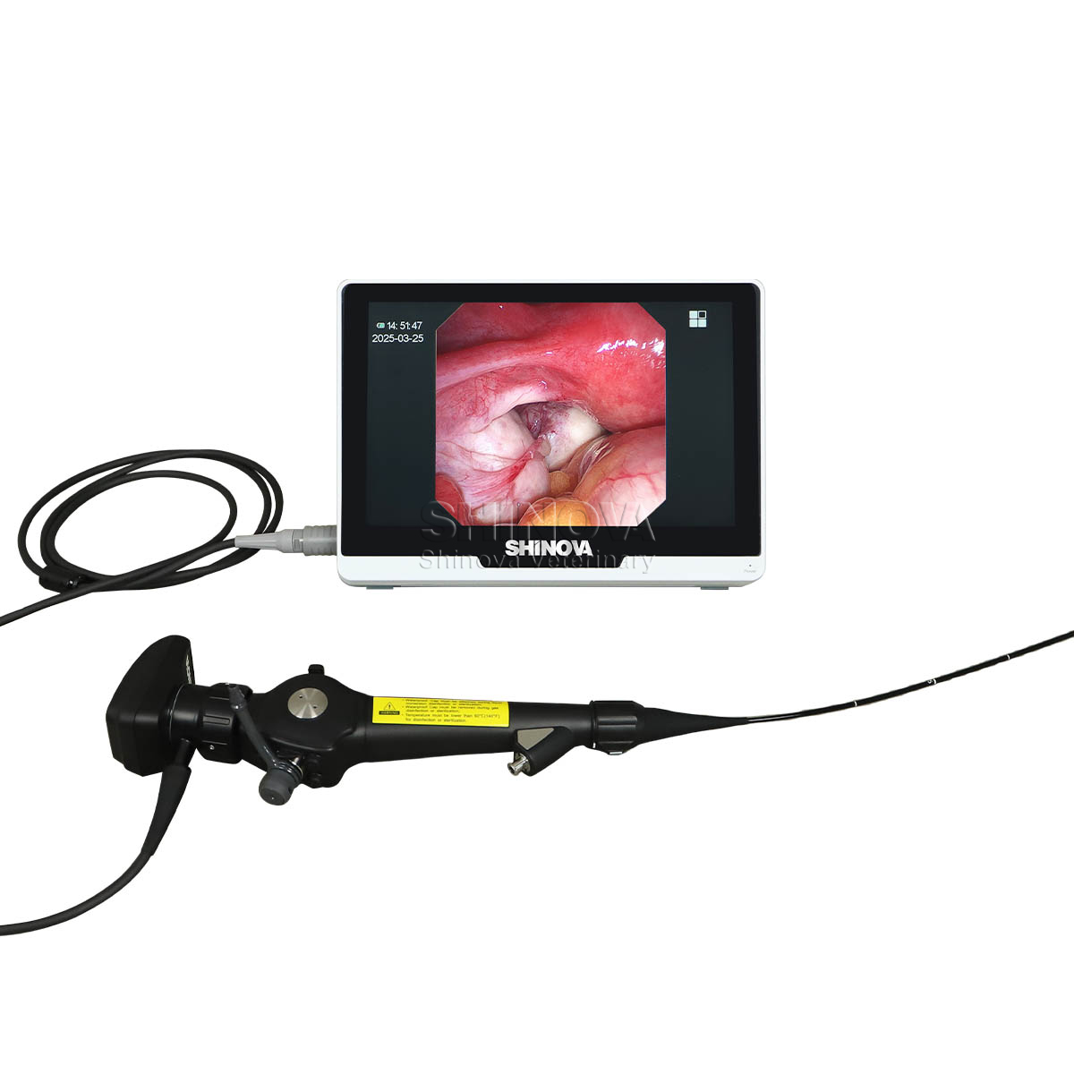 Endoscope สัตวแพทย์แบบพกพา (2.8 มม.)