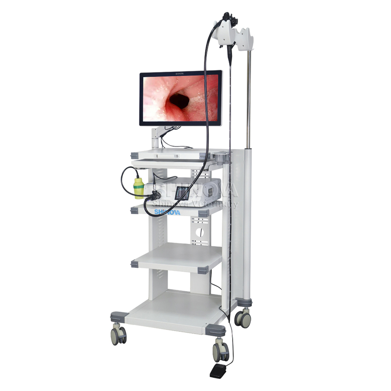 Gastroscope วิดีโอสัตวแพทย์ 